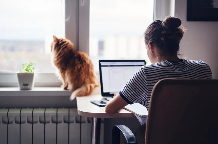 在家工作者的居家辦公室(Home Office)設計與規劃：打造舒適高效的完美空間