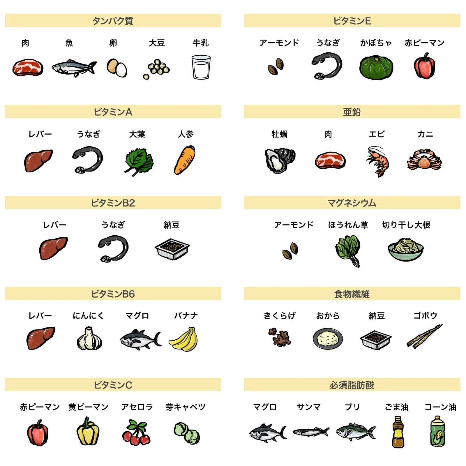 食生活が肌の健康に与える影響|美肌のための効率的栄養ガイド