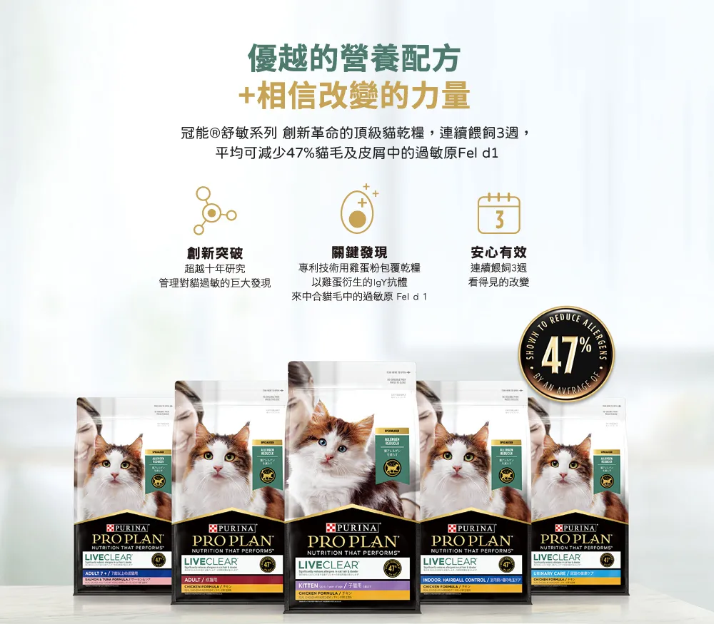 解開貓咪過敏之謎：揭露Fel d1蛋白的致敏機制