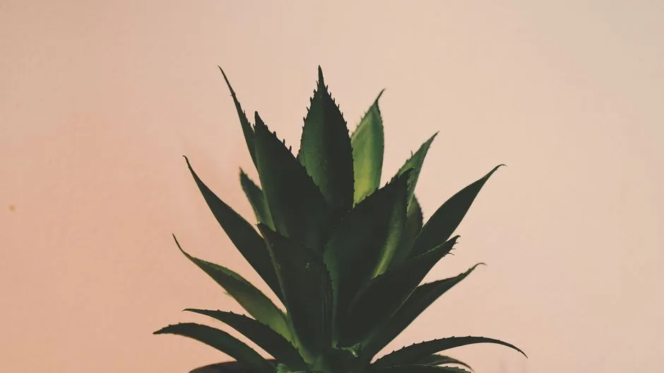 【曬後修護】保濕對護膚的重要性:高效保濕攻略,告別乾燥細紋!
