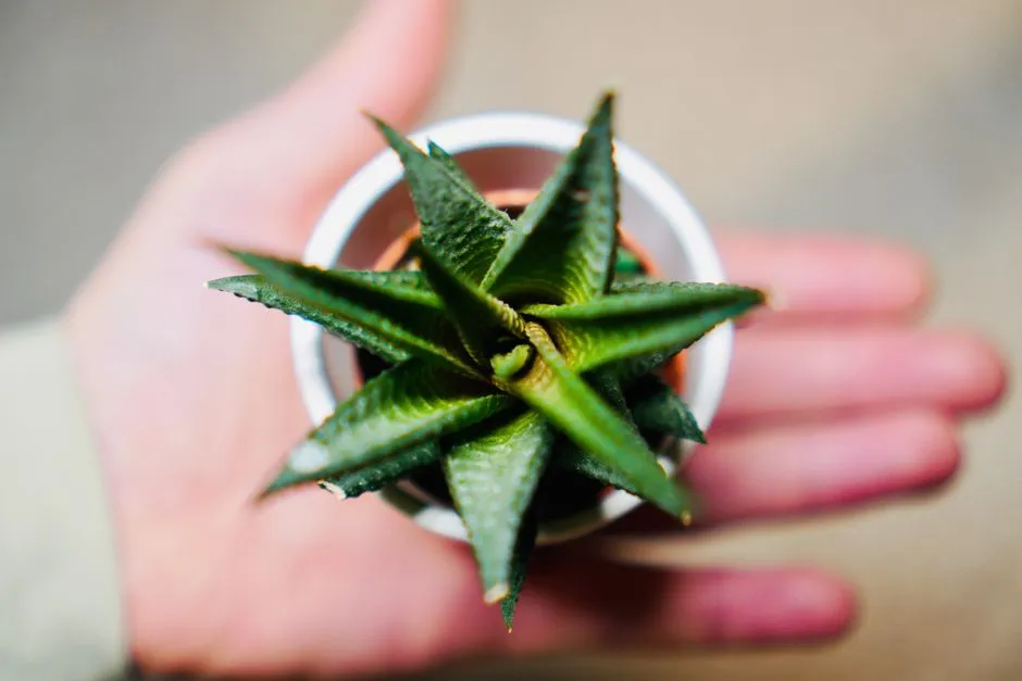 【曬後修護】抗皺精華怎麼選?這些成分不可少!高效抗老秘訣完整教學