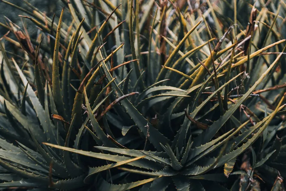 【曬後修護】如何應對過度去角質造成的肌膚敏感?皮膚科護理師的完整修復攻略