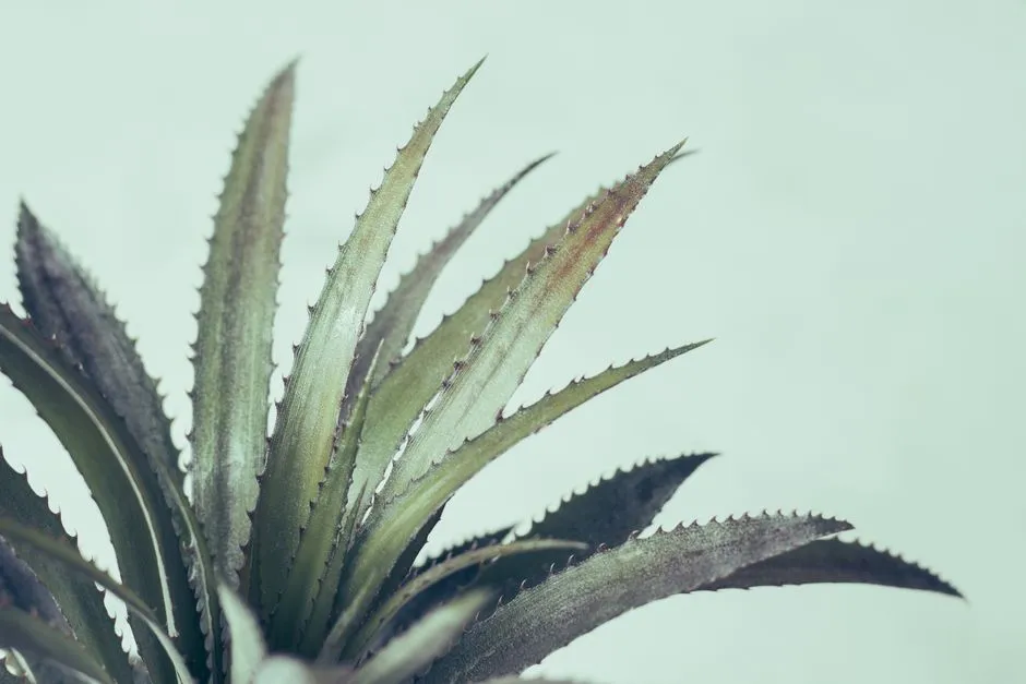 【曬後修護】如何在旅行中保持肌膚清潔與保濕?旅行達人教你高效護膚秘訣!