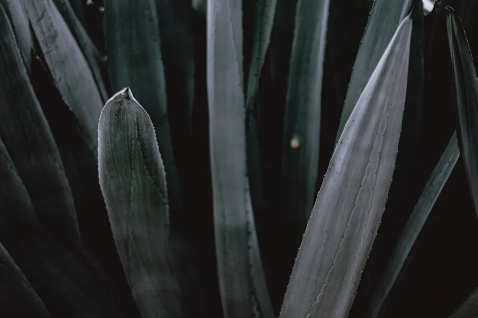 【曬後修護】冬季護膚如何應對寒冷天氣?皮膚科醫生教你高效保濕秘訣!