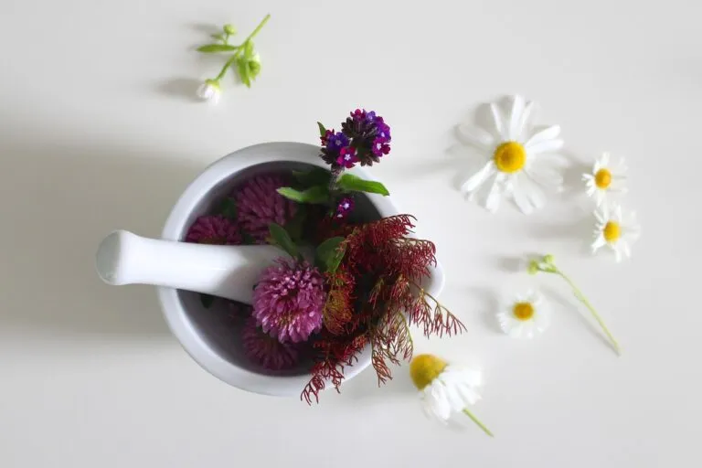 medicinal flower