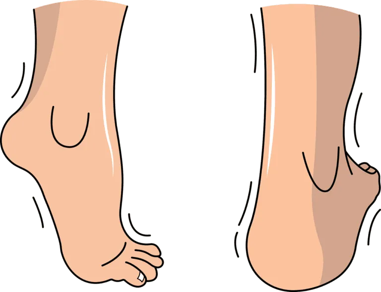 foot