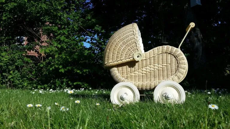 stroller