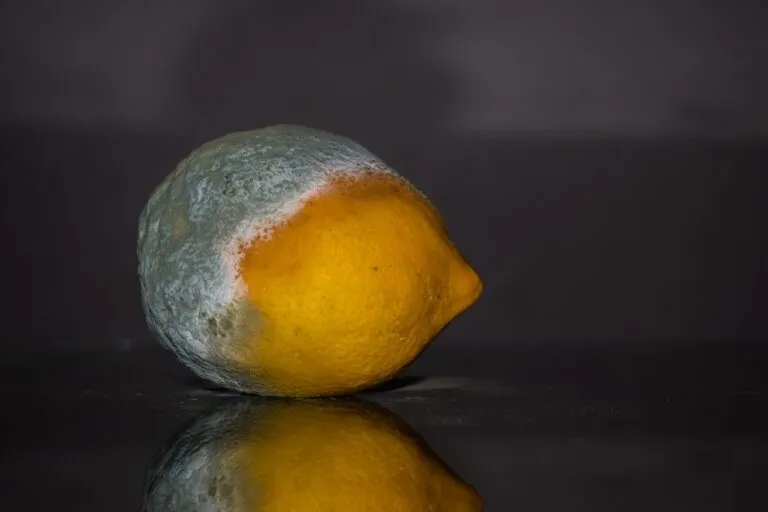 lemon