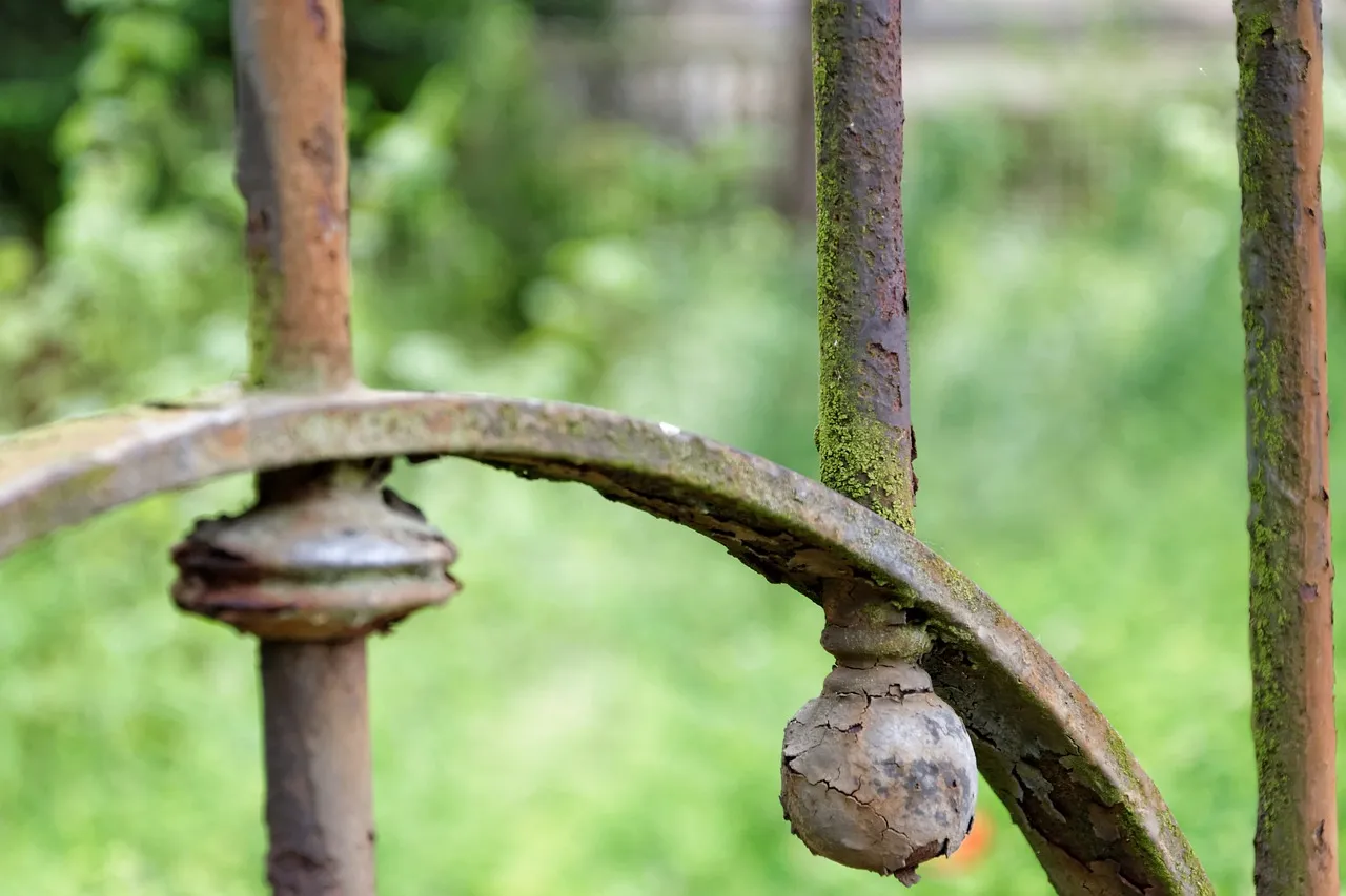 fence