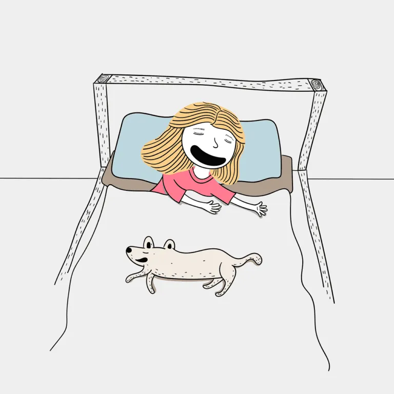 pillow