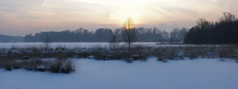 snow