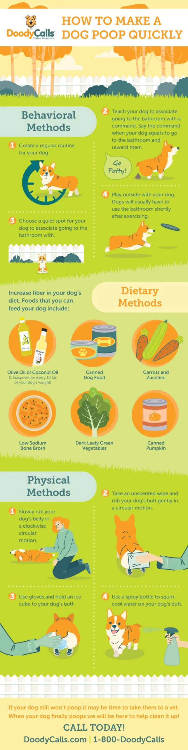 How to constipate discount a dog