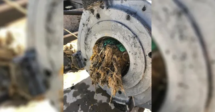 Nasty wipes constipate treatment plant - InMaricopa