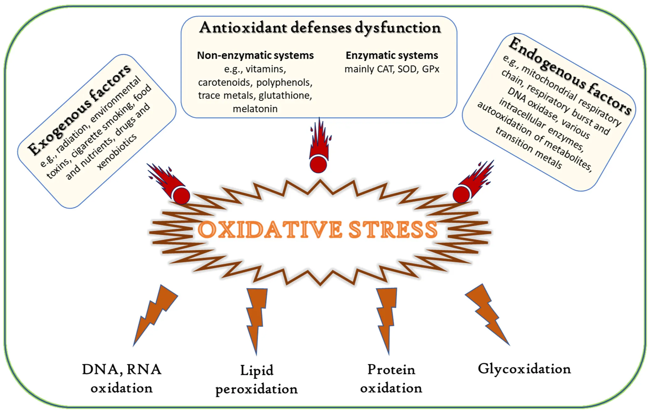 Metabolites with Antioxidant Activity from Marine Macroalgae