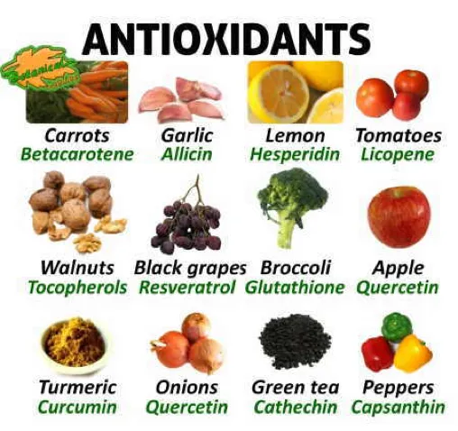 Natural Antioxidant Sources in Proteins: Wellness Boosters -ETprotein