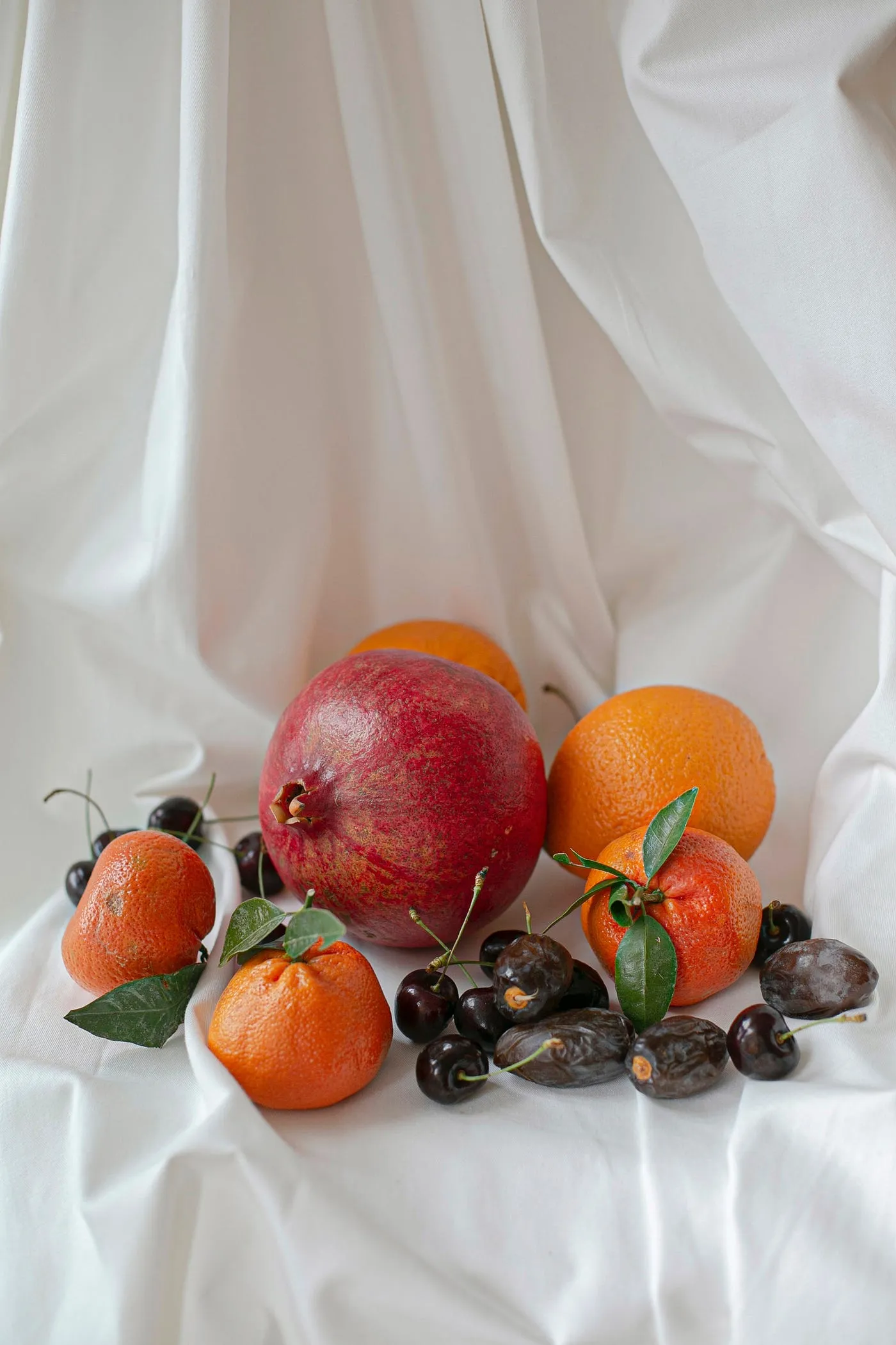 Dried Fruit & Herb Water - 陽光菓菓 SunnyGoGo × 輪郭設計 SCHEMA