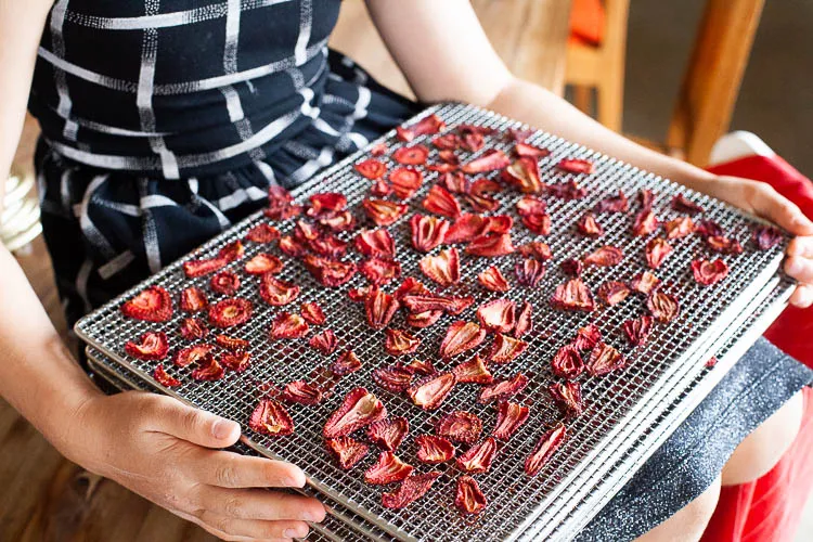 How to dry fruit - Village Dreaming Farm and Orto Cooking School