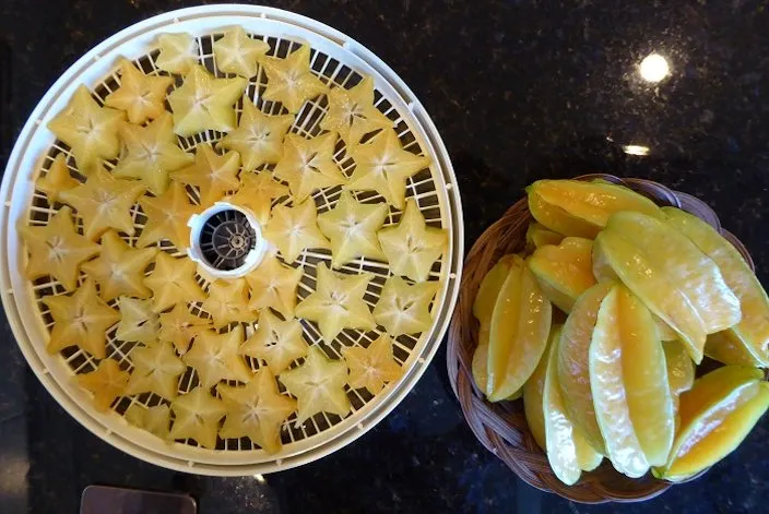 Multi Purpose Food Fruit and Vegetable Dryer Dehydrator Drying ...