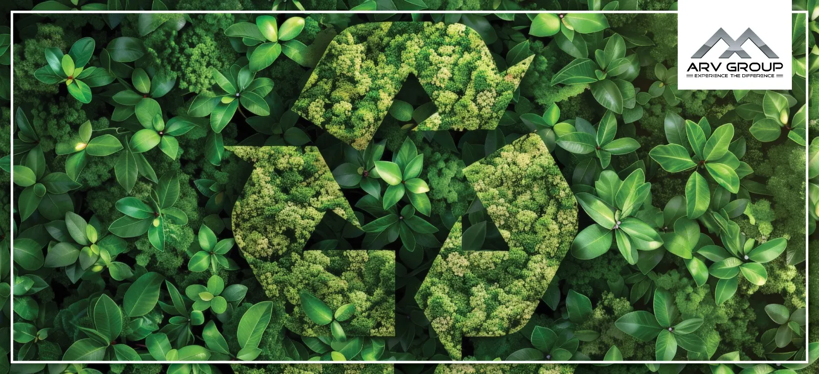 10 Ways To Have More Eco-Friendly Living -2024 Edition – Welcome ...