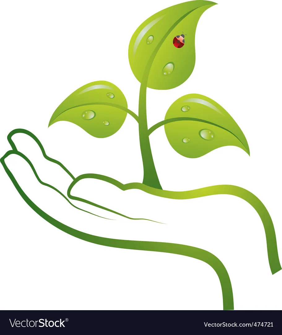 Green life in hand Royalty Free Vector Image - VectorStock