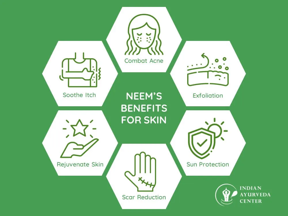 Neem's Benefits for Skin: Ancient Wisdom for Modern Beauty