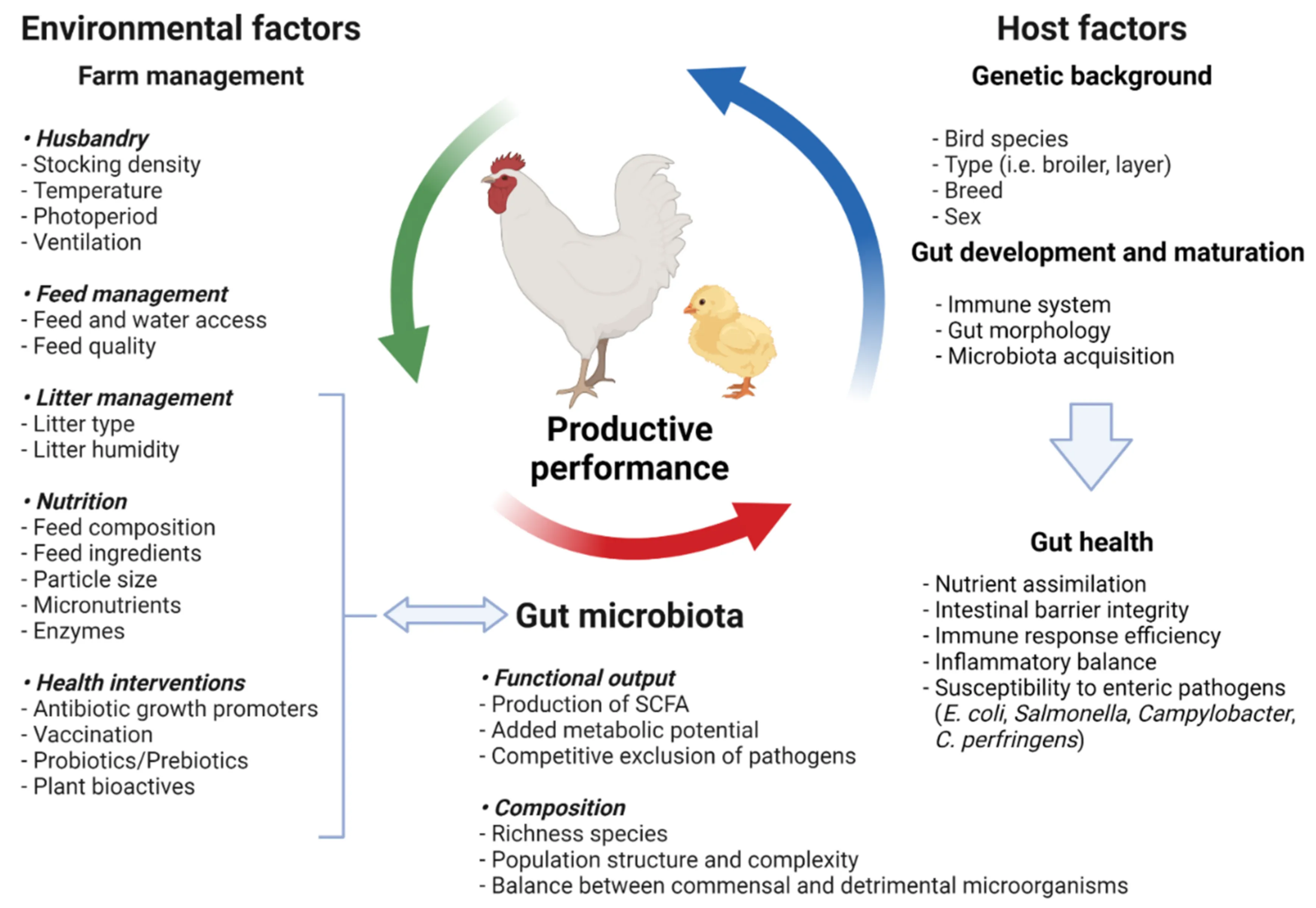 Probiotics, Prebiotics, and Phytogenic Substances for Optimizing ...