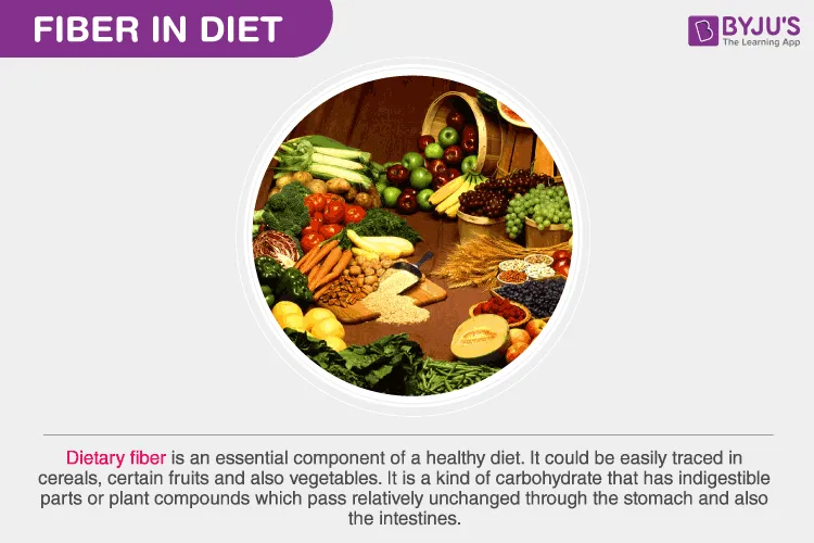 Fiber Rich Foods - Dietary Fiber | Sources