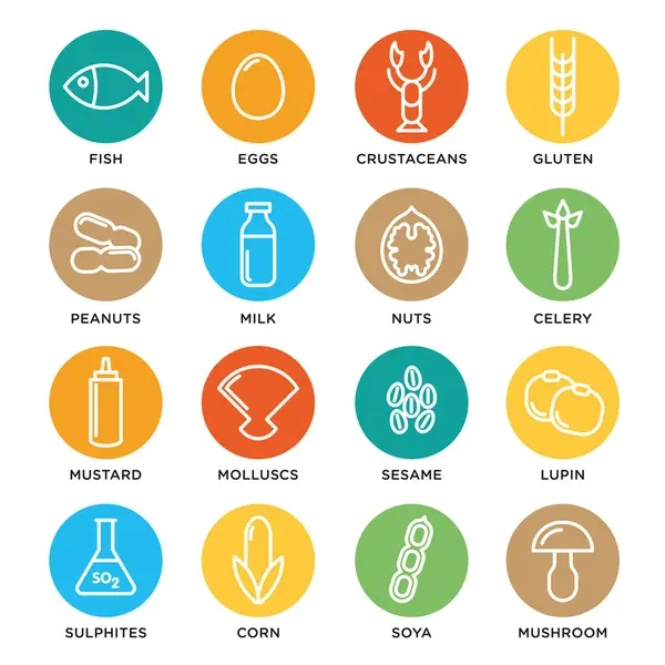 Food allergens Vector Images | Depositphotos