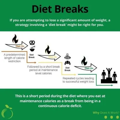 Diet Breaks for Long Term Weight Loss | Ideal Nutrition