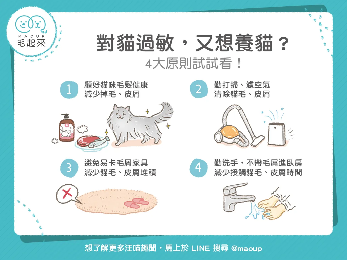 貓毛過敏者的舒緩指南：與愛貓和平共處的秘訣