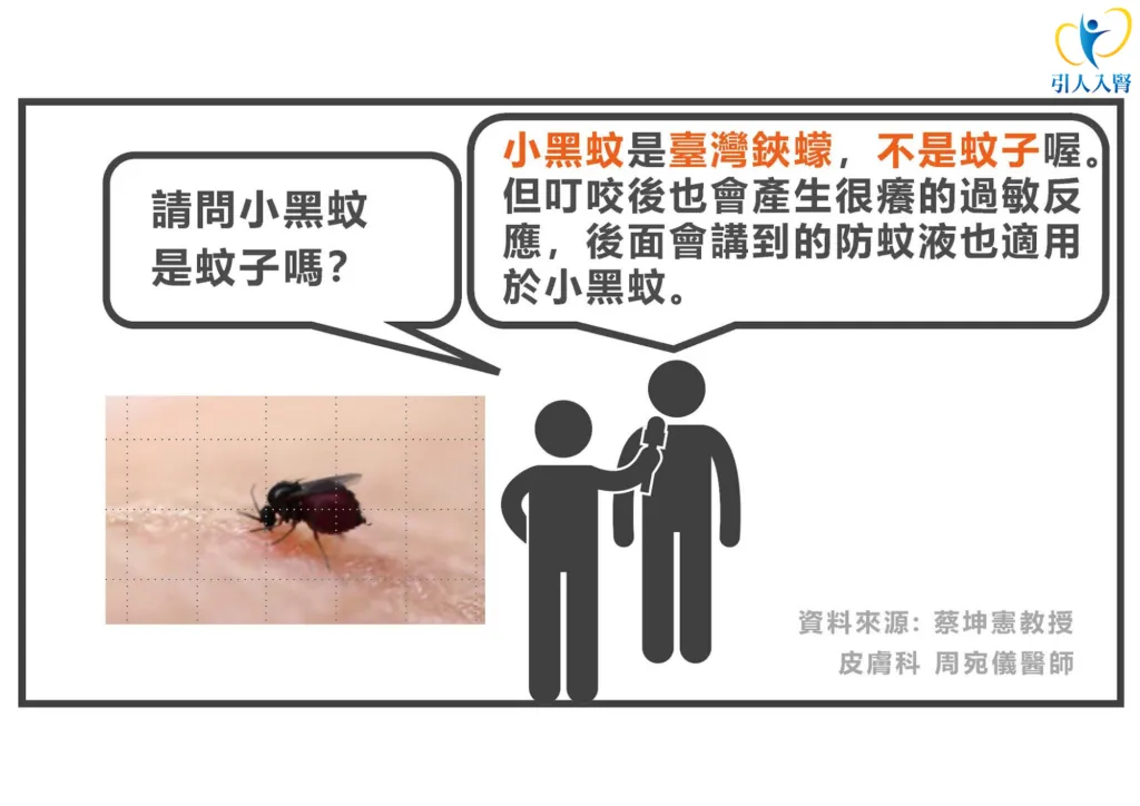 蚊子叮咬可否塗凡士林？專業護理師解答