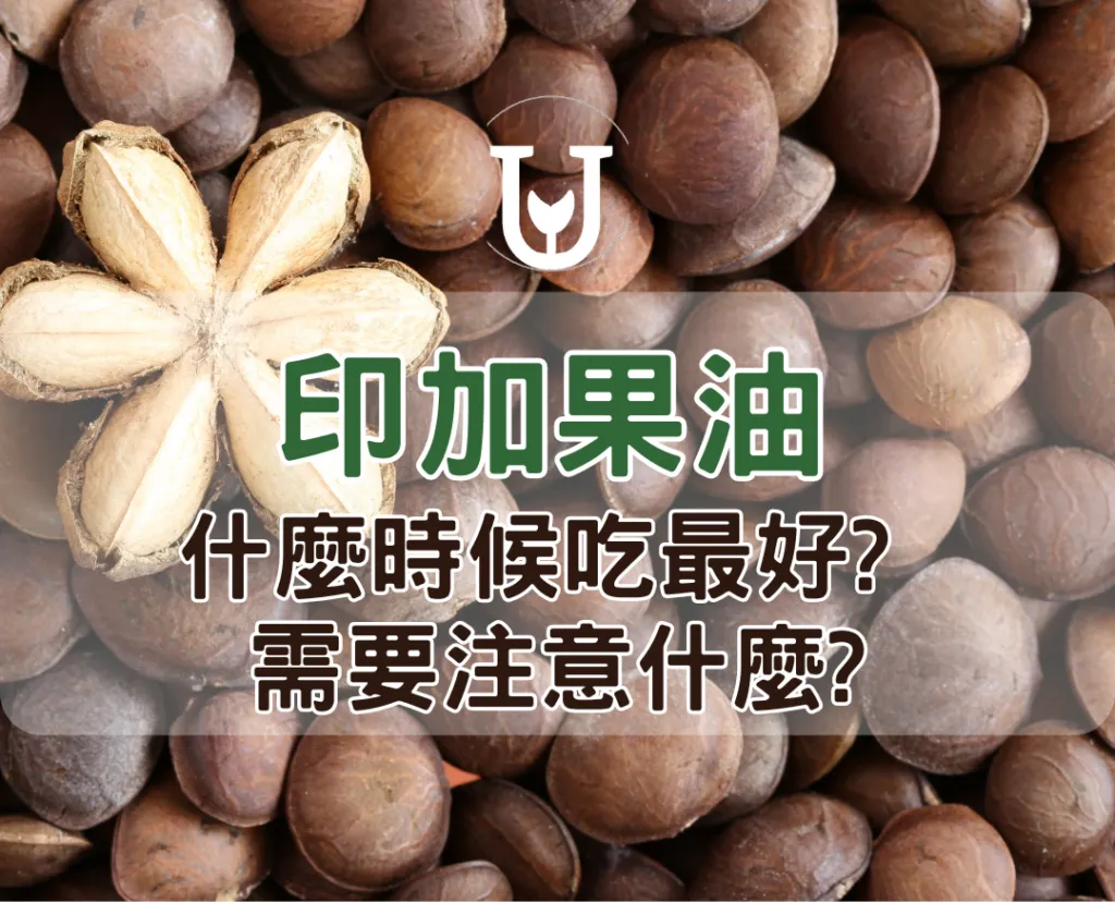 印加果油最佳食用時機：三餐皆宜，飯後食最佳