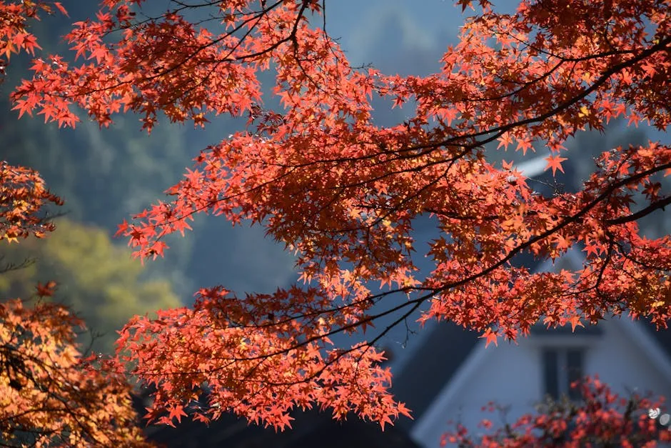 熱蠟除毛後紅腫怎麼辦？皮膚科專家教你快速舒緩