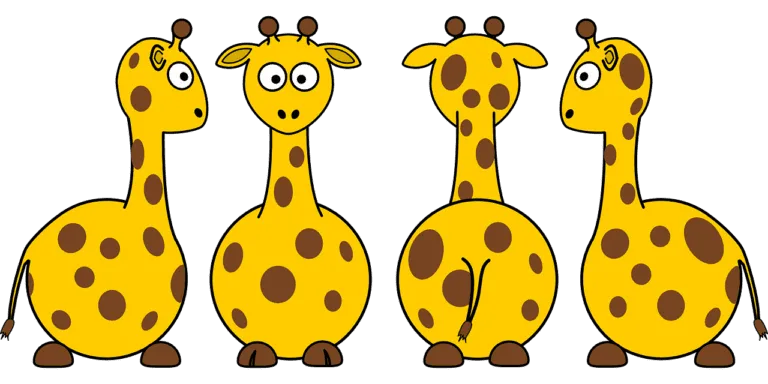 giraffes