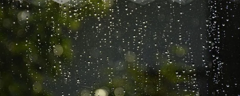 rain