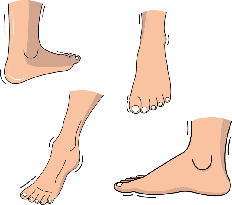 foot