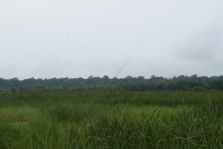 raining
