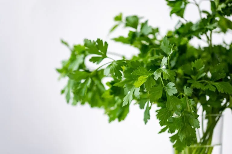 parsely