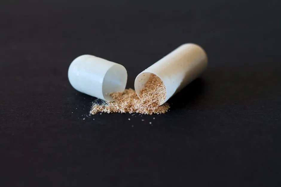 葡眾樟芝益如何提升身體的自然抗病能力?高效提升免疫力的完整教學