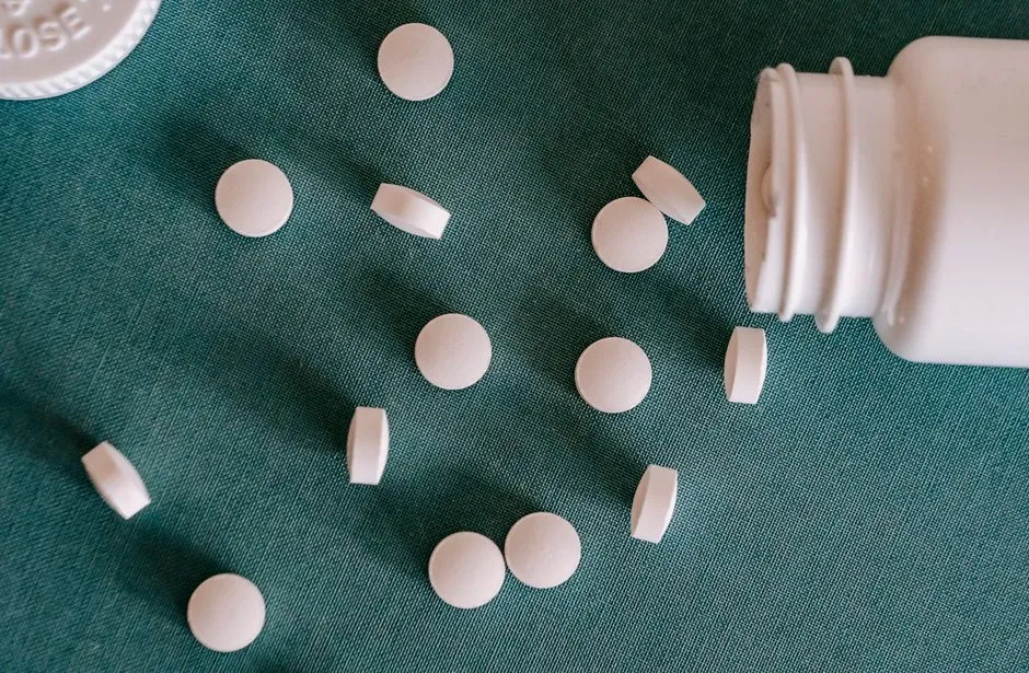 葡眾樟芝益如何幫助改善疲勞與增加活力？高效提升能量的秘訣