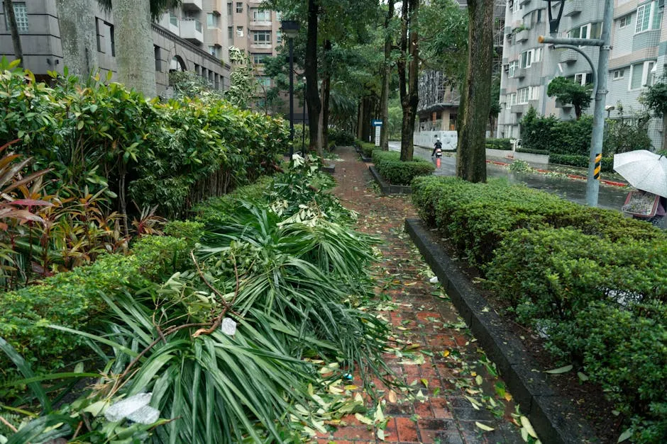 破壞袋的市場營銷策略：中小企業高效增銷的完整教學