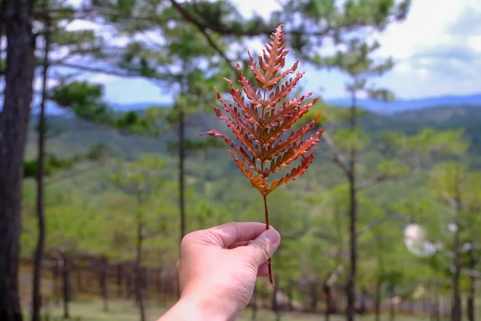 氣泡袋是平件還是包裹?搞懂分類輕鬆寄件不煩惱!