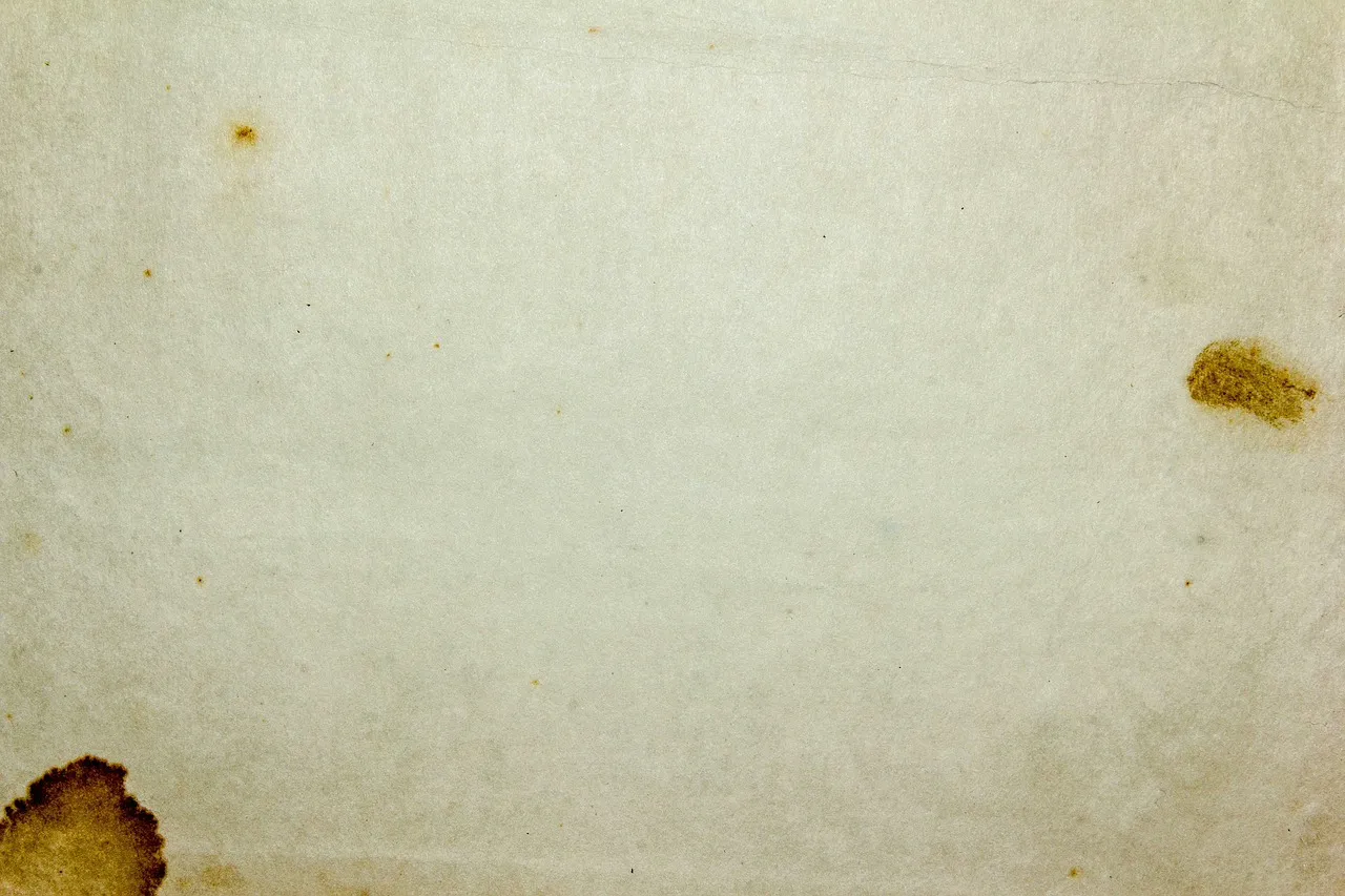 聖誕節禮物包裝材料心得:高效環保包裝秘訣!用蜂巢紙與牛皮紙打造自然系美感