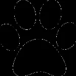 paw