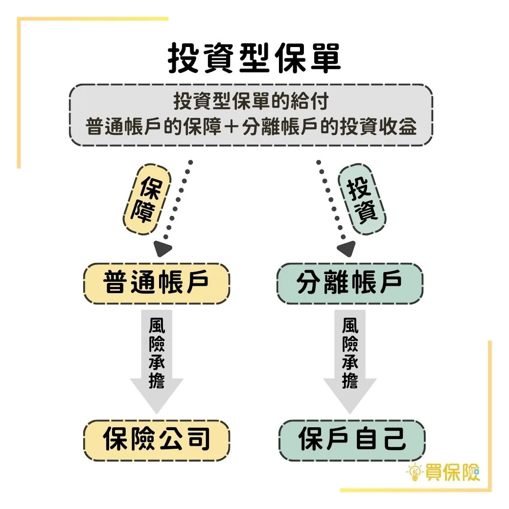 《全面指南：投資型保險的投資組合選擇與資產配置策略》