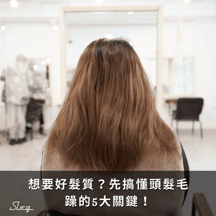 專業髮型師教你解救乾燥受損髮質，揮別毛躁分叉！