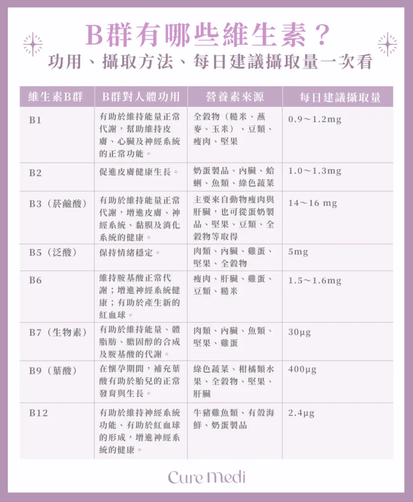 B群過多會怎樣？深入解析維生素B群過量的健康風險與建議