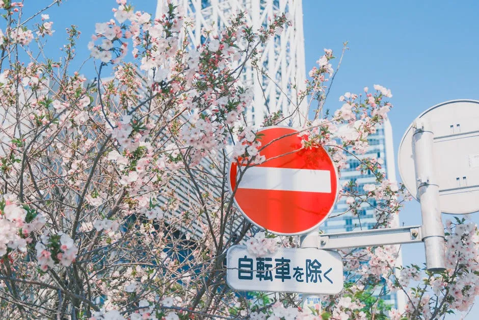 神經醯胺是B5嗎?兩者差別原來差在哪?