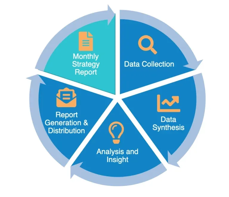 Master Data Analysis: Techniques & Tips for Strategy Reporting