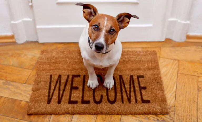 How to win back old customers | Marketing Donut